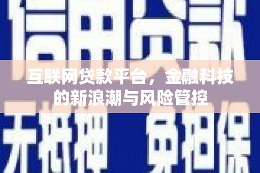 秀水互联网贷款平台，金融科技的新浪潮与风险管控