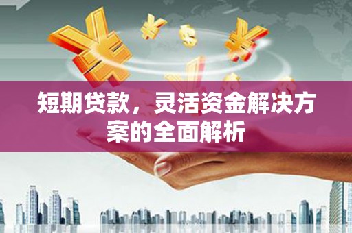 秀水短期贷款，灵活资金解决方案的全面解析