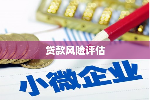 秀水贷款风险评估