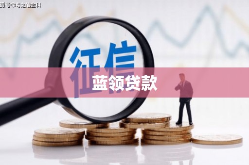 秀水蓝领贷款