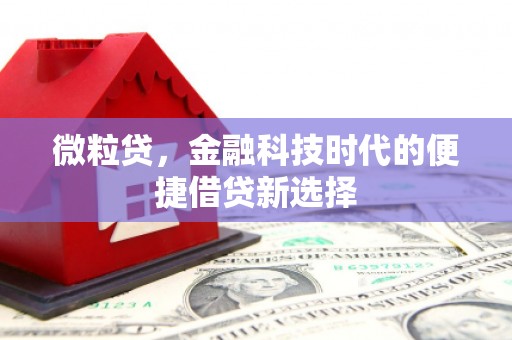 秀水微粒贷，金融科技时代的便捷借贷新选择