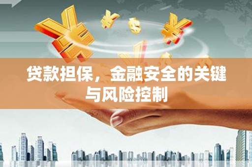 秀水贷款担保，金融安全的关键与风险控制