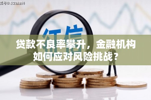 秀水贷款不良率攀升，金融机构如何应对风险挑战？