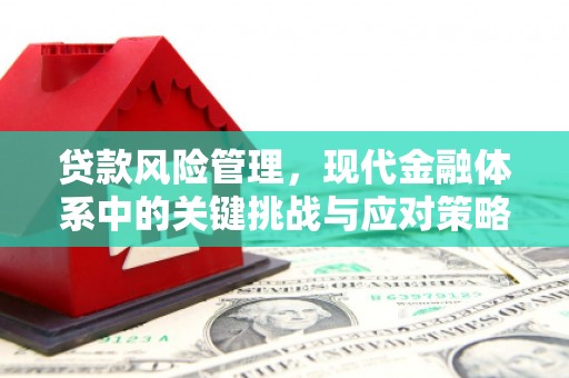 秀水贷款风险管理，现代金融体系中的关键挑战与应对策略