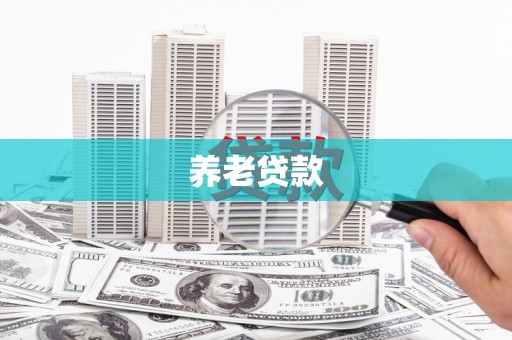 秀水养老贷款