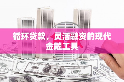 秀水循环贷款，灵活融资的现代金融工具