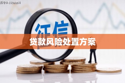 秀水贷款风险处置方案