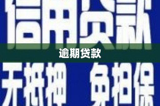 秀水逾期贷款