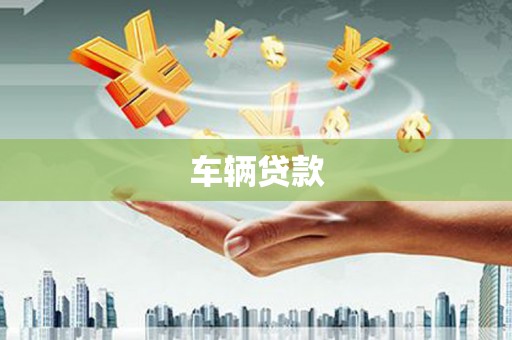 秀水车辆贷款
